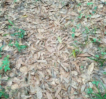عکس های تست هوش، معما و تست هوش تست هوش با جواب, تست هوش تصویری جدید