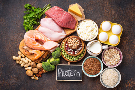 رژیم های غذایی با پروتئین بالا, برنامه غذایی با پروتئین بالا