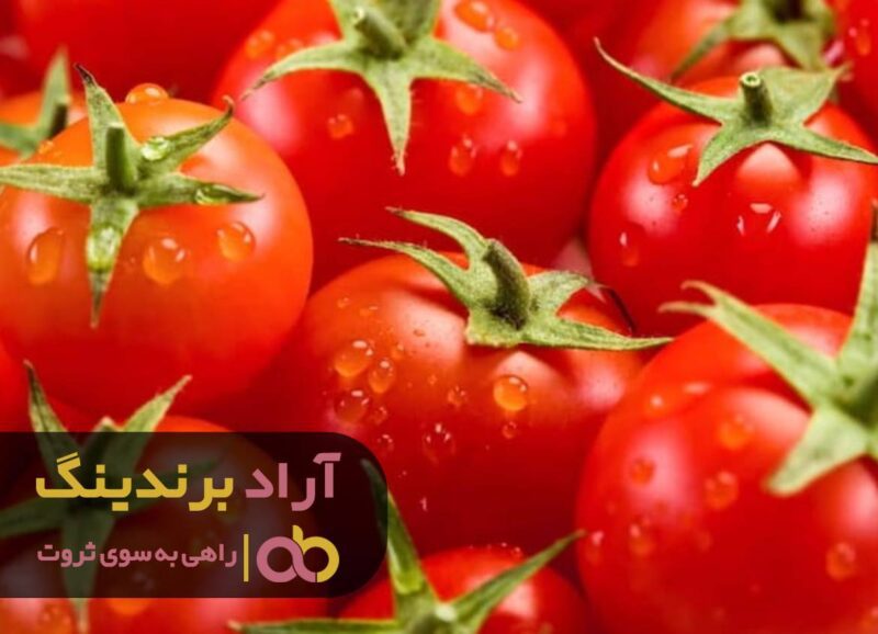 قیمت گوجه فرنگی