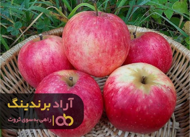 سیب درختی قرمز