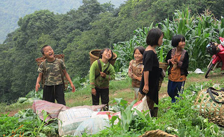 کوه فو چی فاه چیانگ رای,عکس های کوه فو چی فاه چیانگ رای,تصاویر کوه فو چی فاه