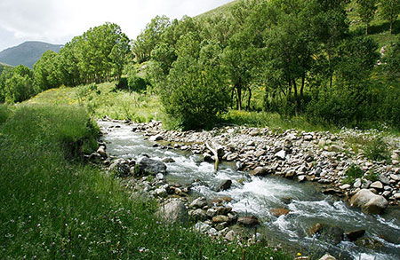 لیقوان,روستای لیقوان,معرفی روستای لیقوان