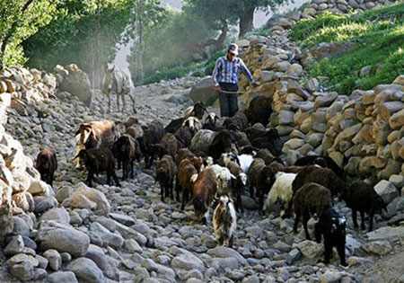 لیقوان,روستای لیقوان,معرفی روستای لیقوان