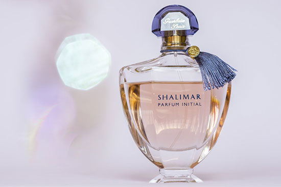 با رمانتیکترین عطرهای زنانه تمام دوران آشنا شوید؛ از شماره ۵ شنل تا زندگی زیباست با رمانتیکترین عطرهای زنانه تمام دوران آشنا شوید؛ از شماره ۵ شنل تا زندگی زیباست