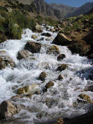 چشمه میشی,گردشگری,تور گردشگری