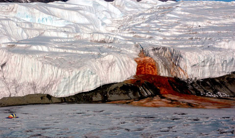 آبشارهای خون قطب جنوب,یخچال های طبیعی،عجایب طبیعی