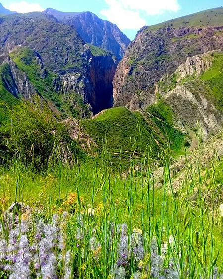 روستای چرم کهنه,شهرستان کلات,روستای چرم کهنه در خراسان