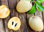 معرفی خواص چیکو؛ میوه گرمسیری خوشمزه و پرکالری
