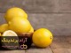 قیمت لیمو شیرین پیوندی