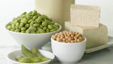 منابع پروتئین, بهترین منابع پروتئین وکلسیم