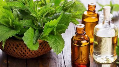 خاصیت روغن درخت چای