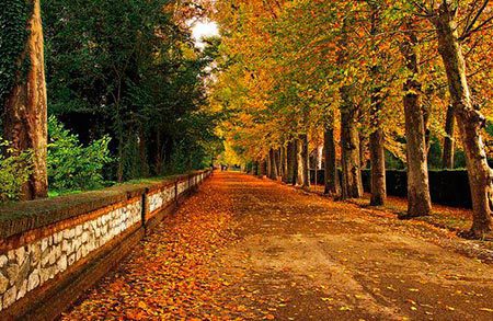 سویل اسپانیا در پاییز سفر در پاییز,مکان های دیدنی در پاییز,سویل اسپانیا