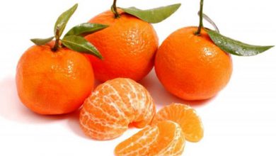 خاصیت نارنگی,آشنایی با خاصیت نارنگی