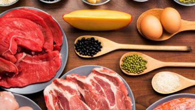 مواد غذایی حاوی پروتئین،رژیم لاغری پروتئین