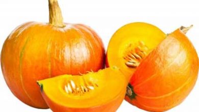 فواید کدو تنبل در باردرای